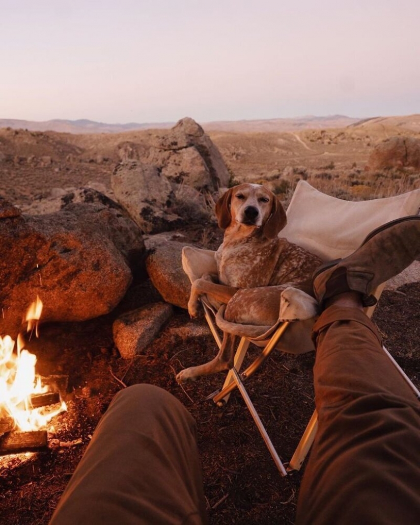 As a traveling photographer Theron Humphrey and his dog Maddie