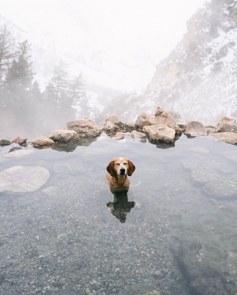 As a traveling photographer Theron Humphrey and his dog Maddie