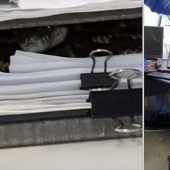 As Australian Python decided to work in the office