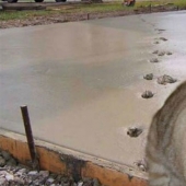 As cats in history, heritage