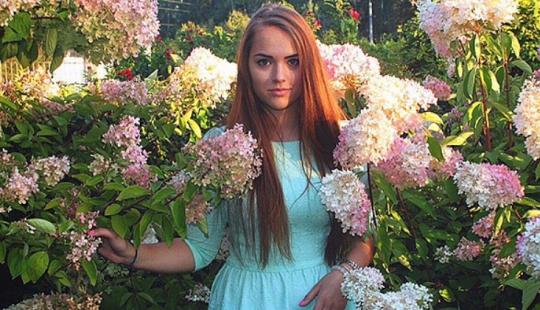 Aspecto del producto y organizar la solución de los bunkers en los Estados unidos