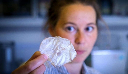 Astrofiziki inventado una nueva forma de hacer las fichas de las medusas Astrofiziki inventado una nueva forma de hacer las fichas de las medusas