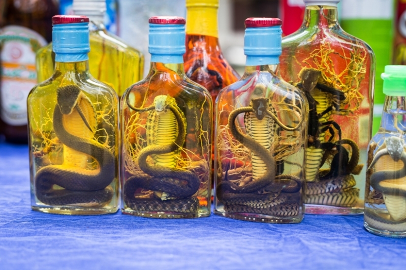 Beer made from elephant dung and scrotum kangaroo: 9 of the strangest Souvenirs