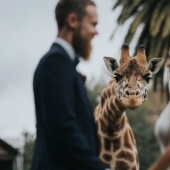 Best wedding photos of 2020 just announced, here are 15 of the best
