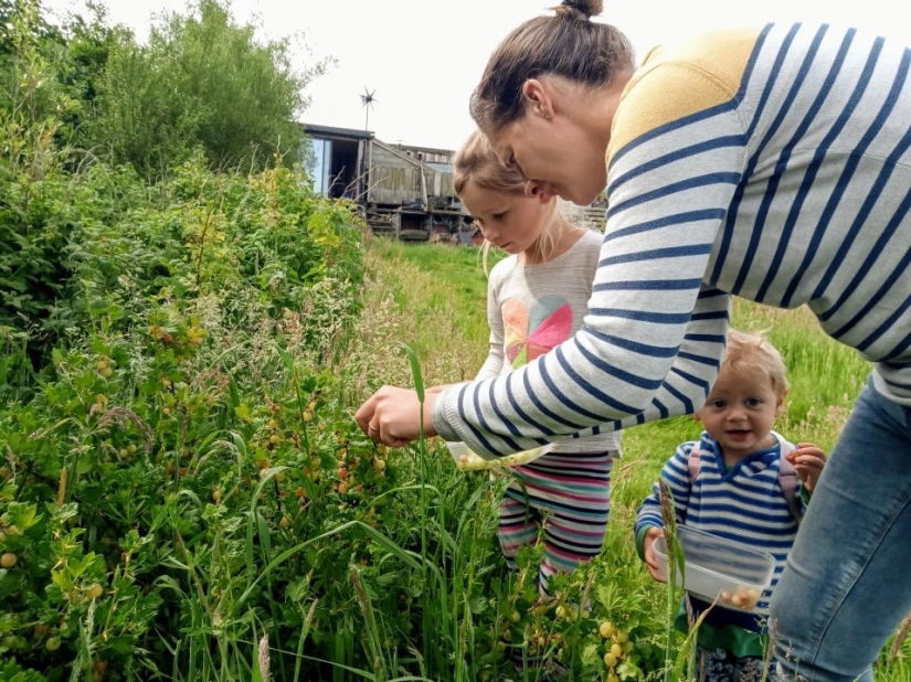 Beyond civilization: the family of Britons living a fully Autonomous life on the farm