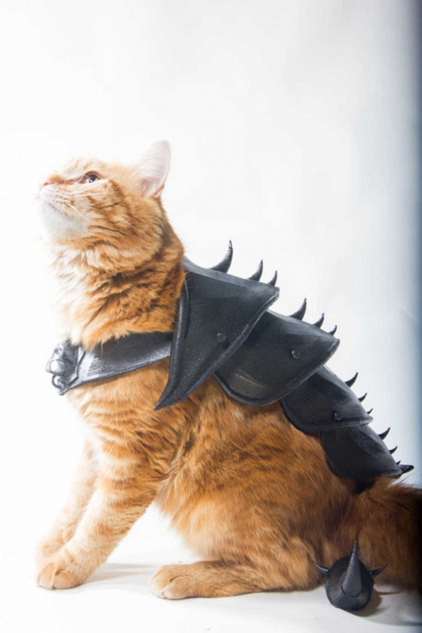 British printed battle armor for a cat