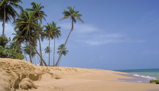 Busque la mujer: modelos desnudas se mezclan con el paisaje