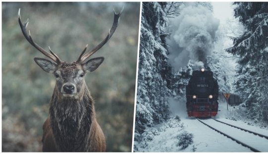 Cada foto es como una pintura: Belga crea expresiva paisajes del Norte de Europa