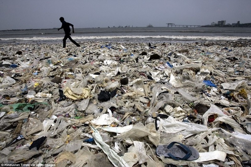 "Campeón de la Tierra": ¿cómo un hombre ordinario borra la playa de 5000 toneladas de basura