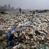 "Campeón de la Tierra": ¿cómo un hombre ordinario borra la playa de 5000 toneladas de basura