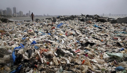 "Campeón de la Tierra": ¿cómo un hombre ordinario borra la playa de 5000 toneladas de basura