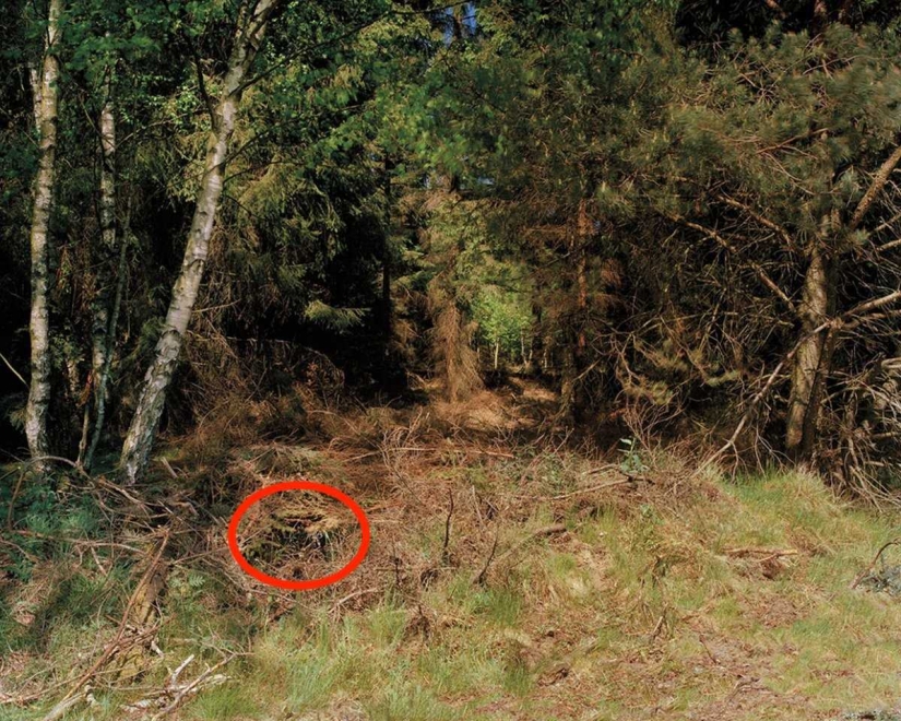 Can you see the camouflaged German sniper, pricelevels right in you?