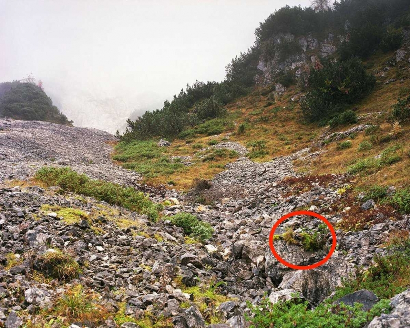 Can you see the camouflaged German sniper, pricelevels right in you?