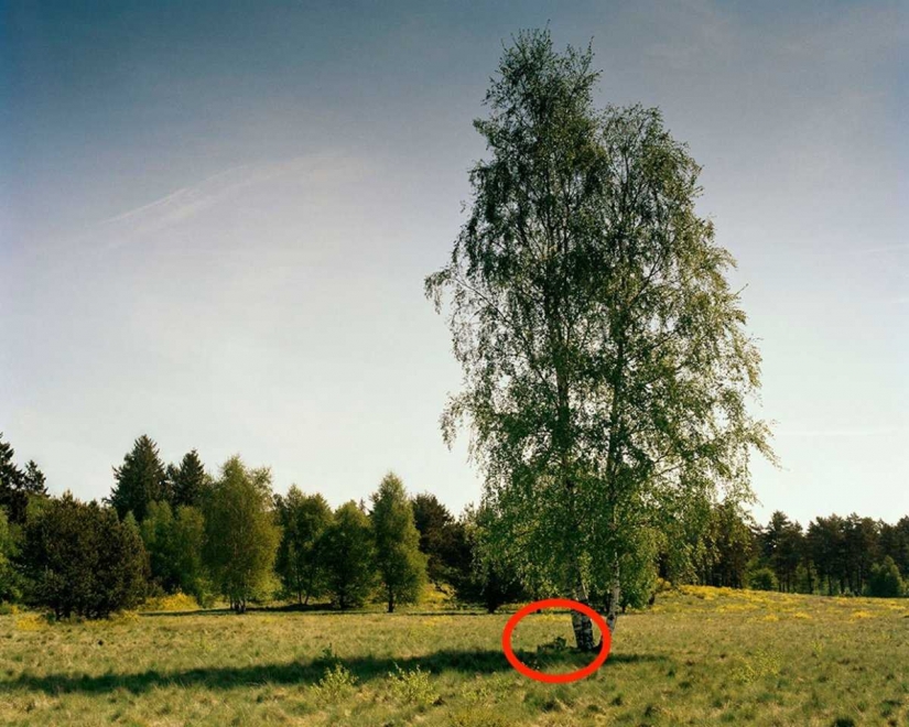 Can you see the camouflaged German sniper, pricelevels right in you?