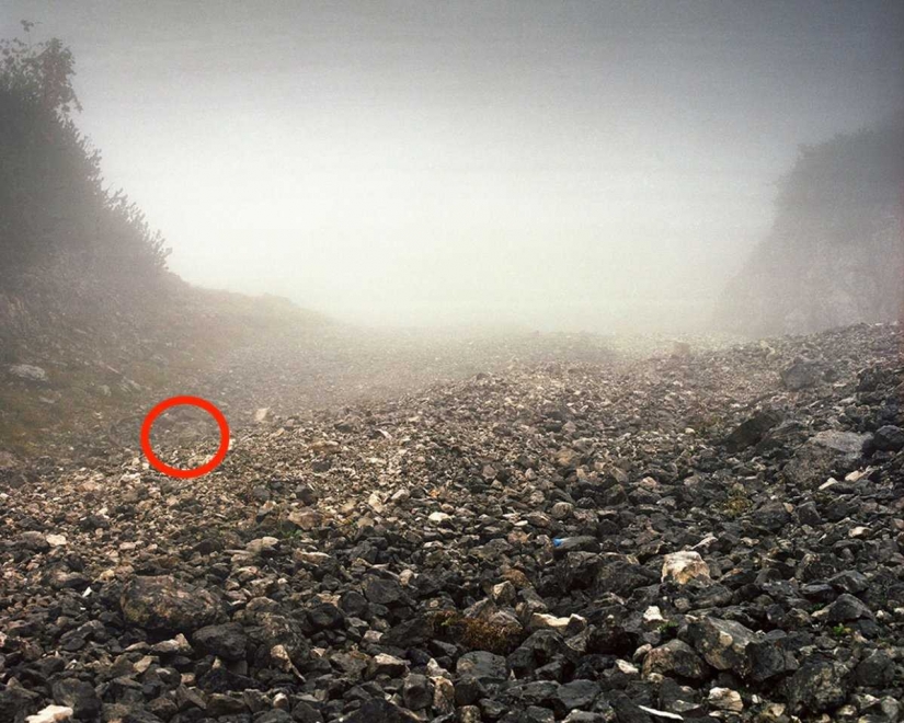 Can you see the camouflaged German sniper, pricelevels right in you?