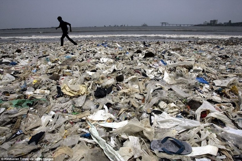 "Champion of the Earth": how an ordinary man cleared the beach of 5000 tons of garbage