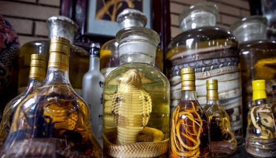 Clasificación de comestibles, no comestibles: los 6 más repugnante delicias de Asia