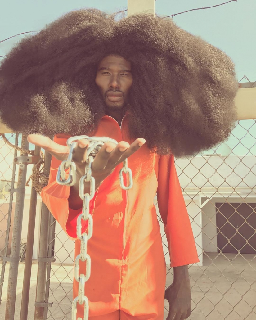 Cloud hair: benny Harlem — the owner of the most stunning hairstyles in Instagram