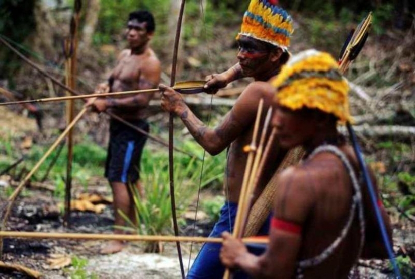 Cómo ir de pesca y caza de los Indios de la Amazonía