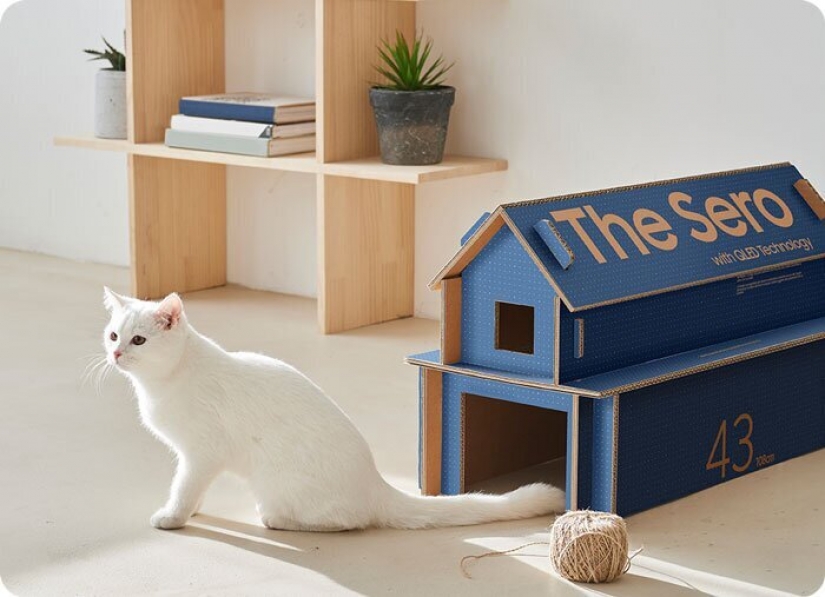 Cómo la caja de TELEVISOR Samsung en el que puedes hacer un gato de la casa