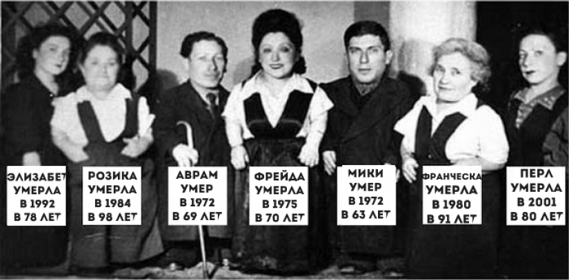 Como enano crecimiento ayudó a la familia de músicos Judíos Ovitz para sobrevivir a los experimentos en el campo de Auschwitz
