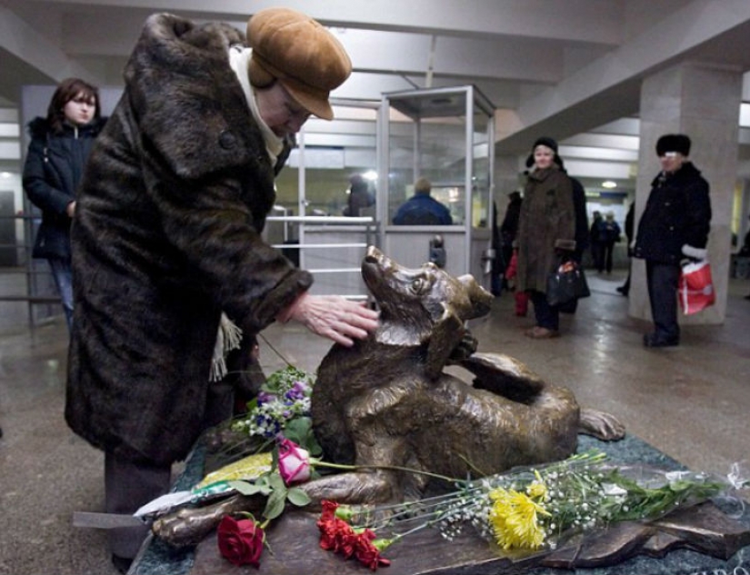 Como los perros callejeros son guiados en el metro de Moscú