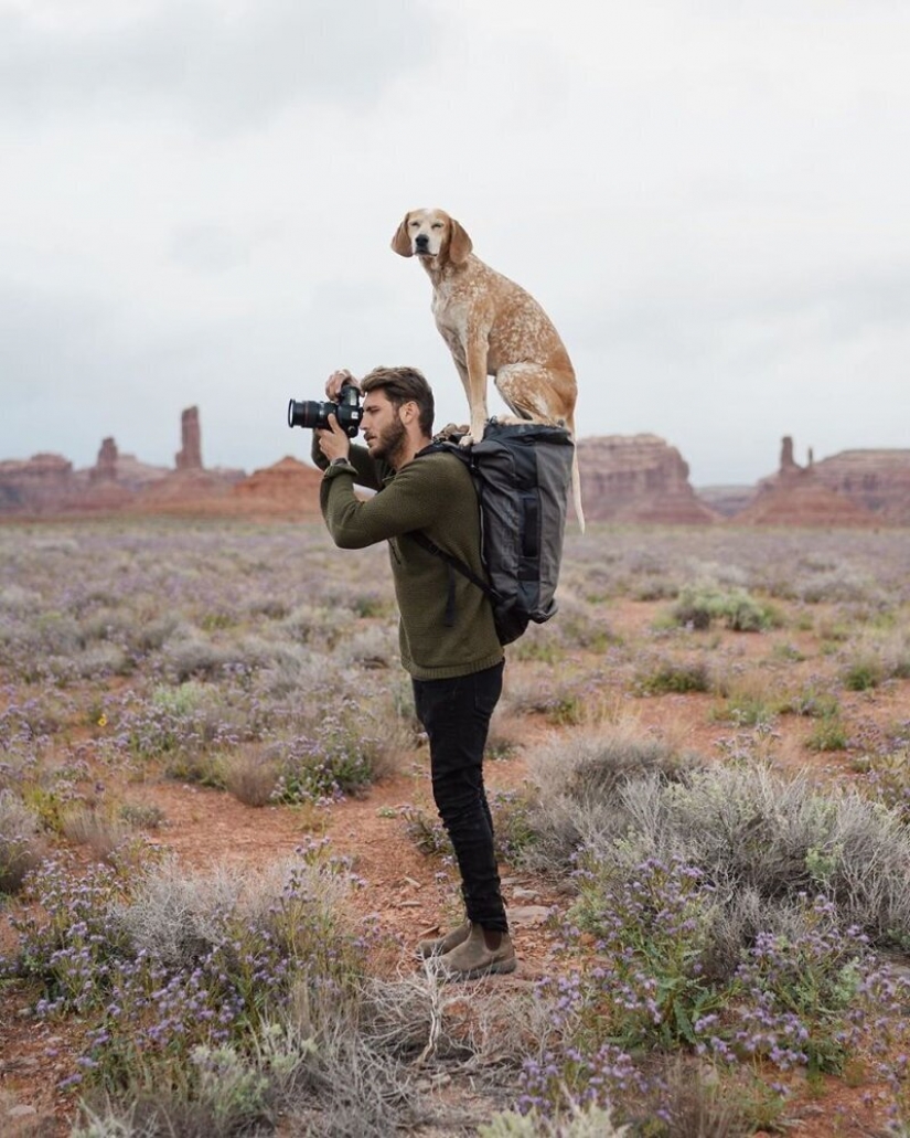 Como un viaje fotógrafo Theron Humphrey y su perro Maddie