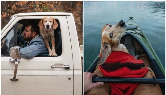 Como un viaje fotógrafo Theron Humphrey y su perro Maddie