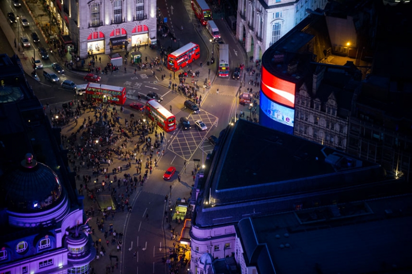 Consuming London from the height of bird flight