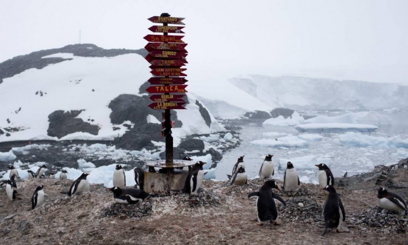 Coronavirus made it to Antarctica — and now the pandemic spread to all continents