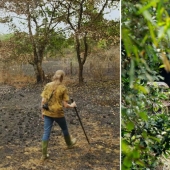 Couple 26 years spent on the restoration of the reserve, when a tropical forest