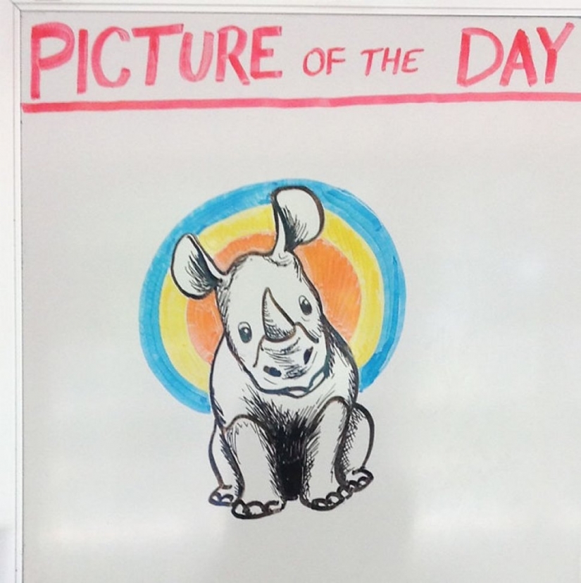 Creative history teacher every day draws pictures on the Board