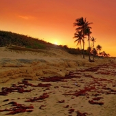 Cuando usted realmente desea para Cuba