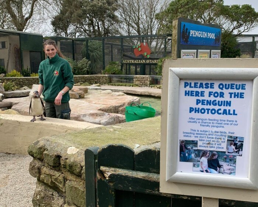Cuatro empleados de un zoológico en el reino unido esperar a que pase la cuarentena de los animales