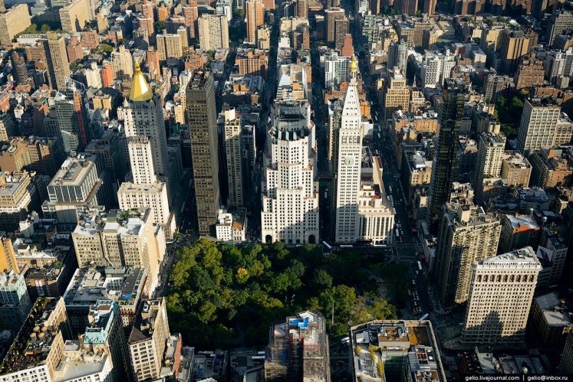 De nueva York a partir de la altura de vuelo de los pájaros