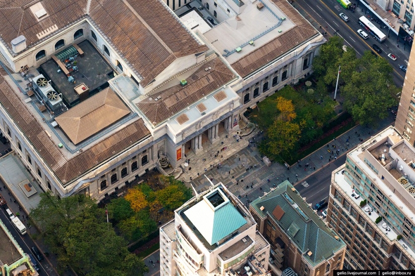 De nueva York a partir de la altura de vuelo de los pájaros