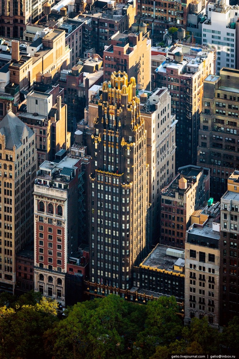 De nueva York a partir de la altura de vuelo de los pájaros