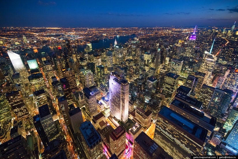 De nueva York a partir de la altura de vuelo de los pájaros