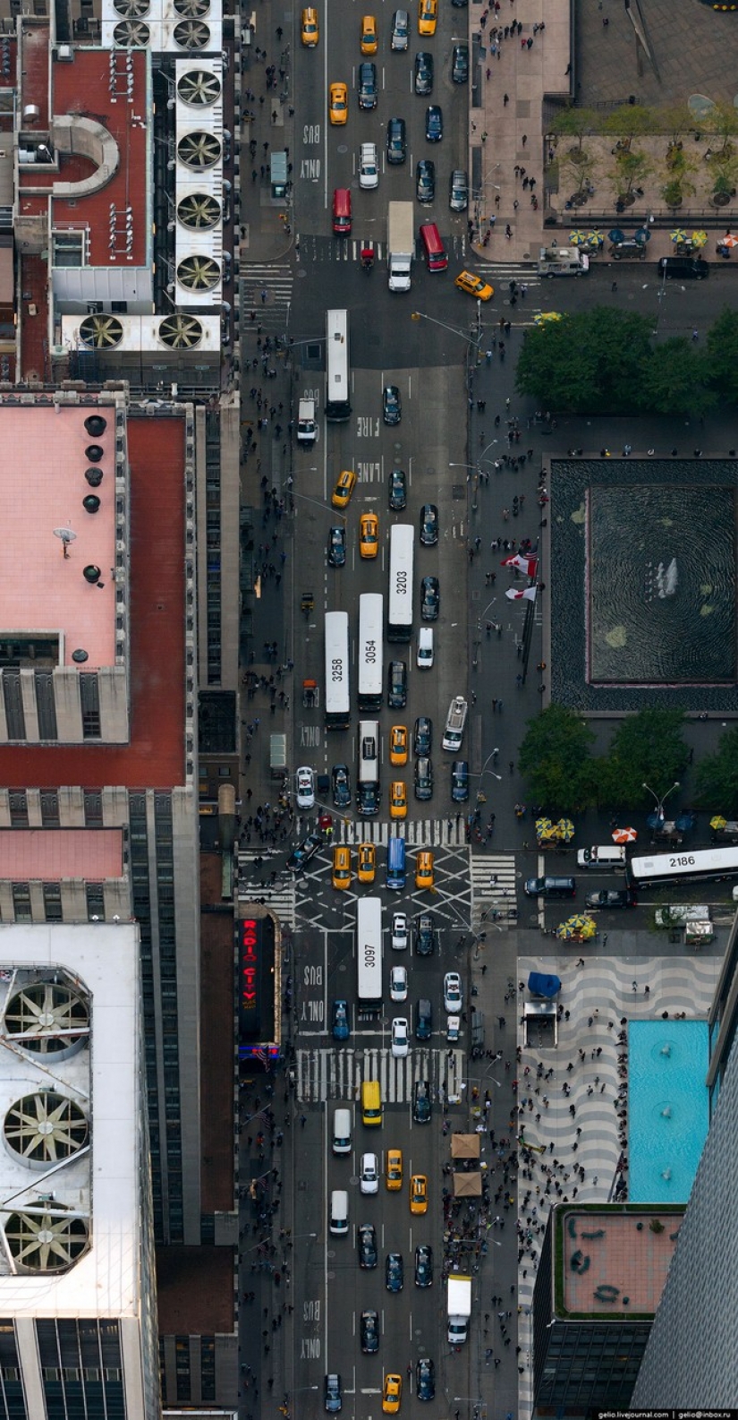 De nueva York a partir de la altura de vuelo de los pájaros