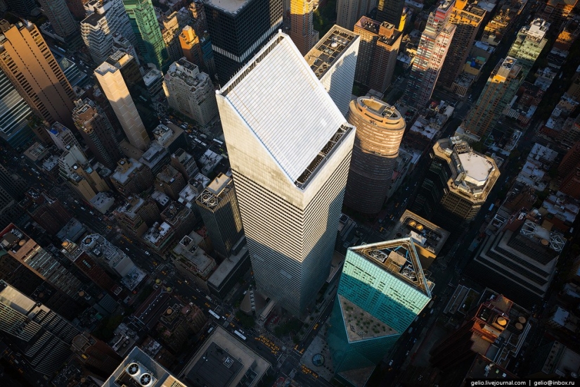 De nueva York a partir de la altura de vuelo de los pájaros