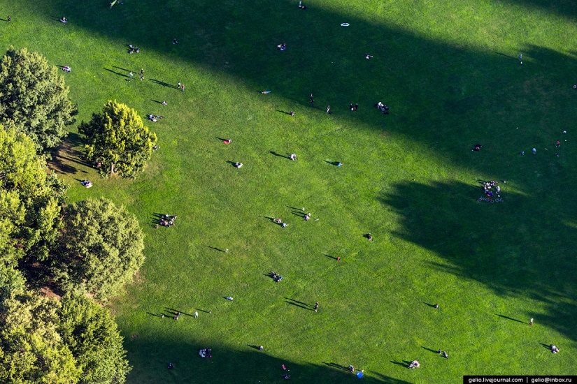 De nueva York a partir de la altura de vuelo de los pájaros