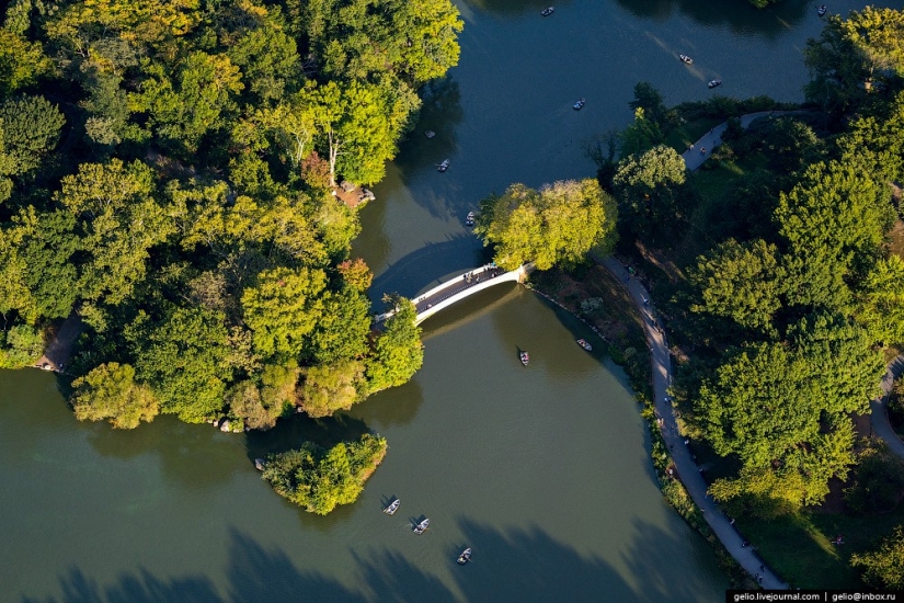 De nueva York a partir de la altura de vuelo de los pájaros