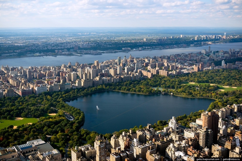 De nueva York a partir de la altura de vuelo de los pájaros