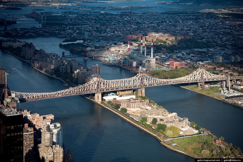 De nueva York a partir de la altura de vuelo de los pájaros