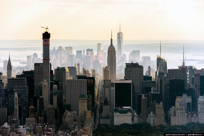 De nueva York a partir de la altura de vuelo de los pájaros