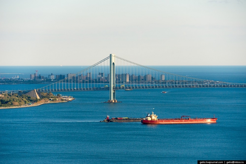 De nueva York a partir de la altura de vuelo de los pájaros