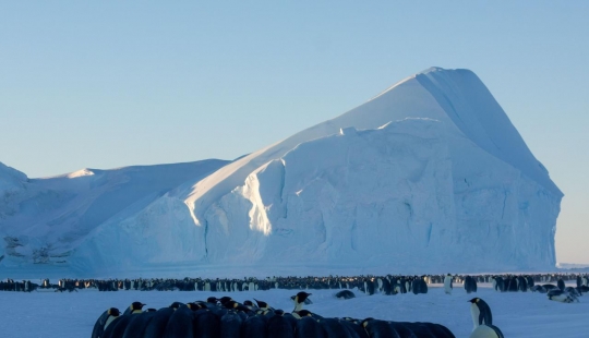 Detailed instructions: how to get into a polar expedition to Antarctica