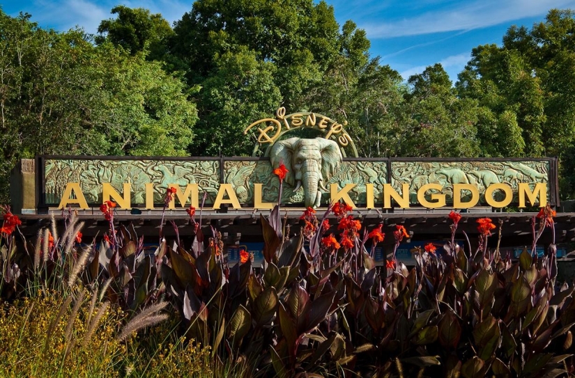 Disneyland — el mundo mágico donde los adultos se convierten en niños