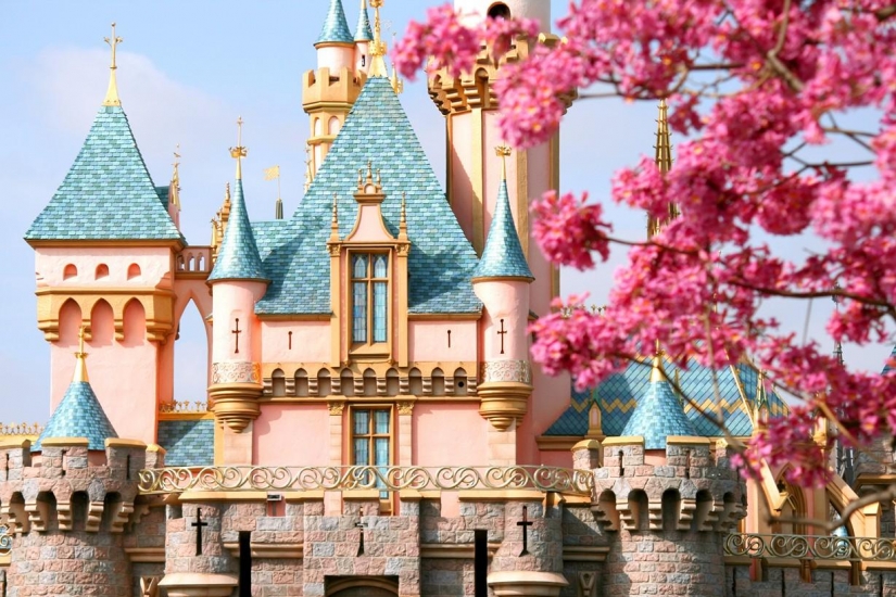 Disneyland — the magical world where adults turn into children