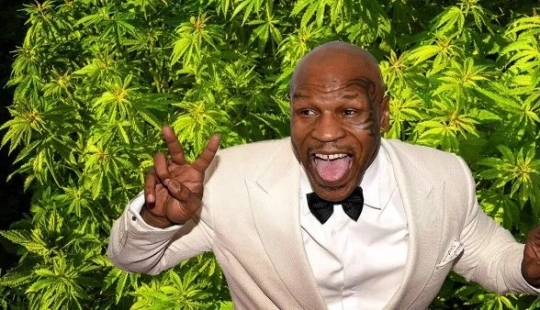 Divertido boxeador Mike Tyson plantea en su rancho de marihuana y trata a sus invitados